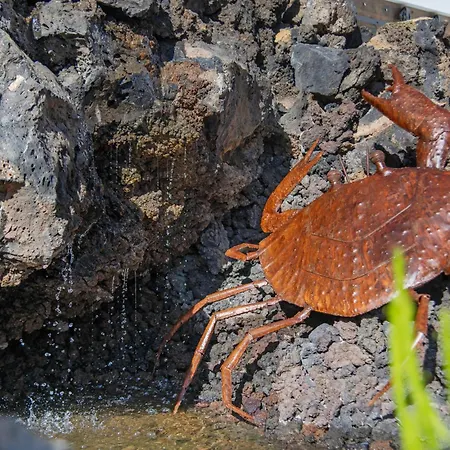 El Jable Διαμέρισμα Arrieta (Lanzarote)
