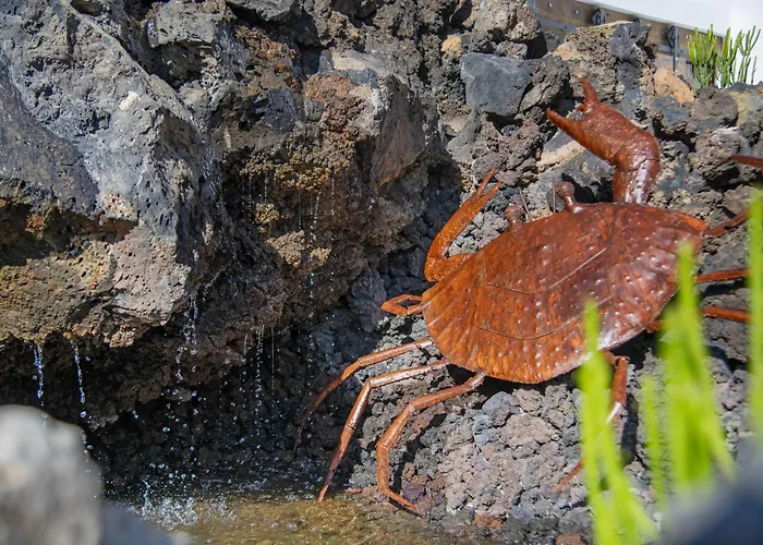 Apartman El Jable Haría